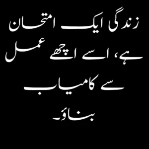 About Life Quotes in Urdu