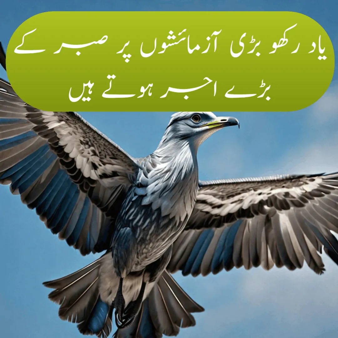 Motivational Urdu Quotes