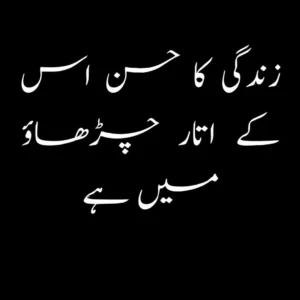 quotation in urdu about life