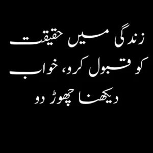 quotes about life in urdu one line