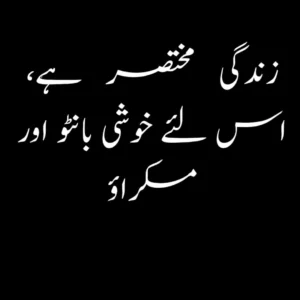 attitude quotes about life in urdu