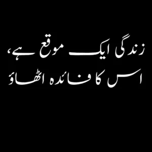 best deep quotes about life in urdu