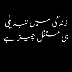 About Life Quotes in Urdu English