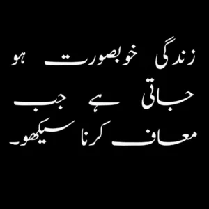 2-line Urdu quotes on life with explanations of their meanings