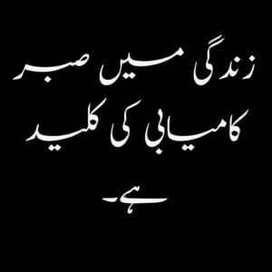 2-line Urdu quotes reflecting the realities of life