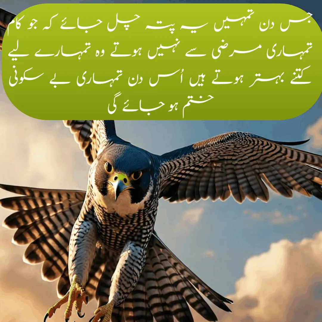 Best Urdu Quotes