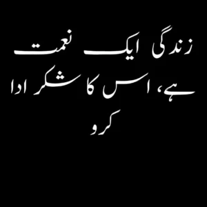 best quotes about life in urdu short