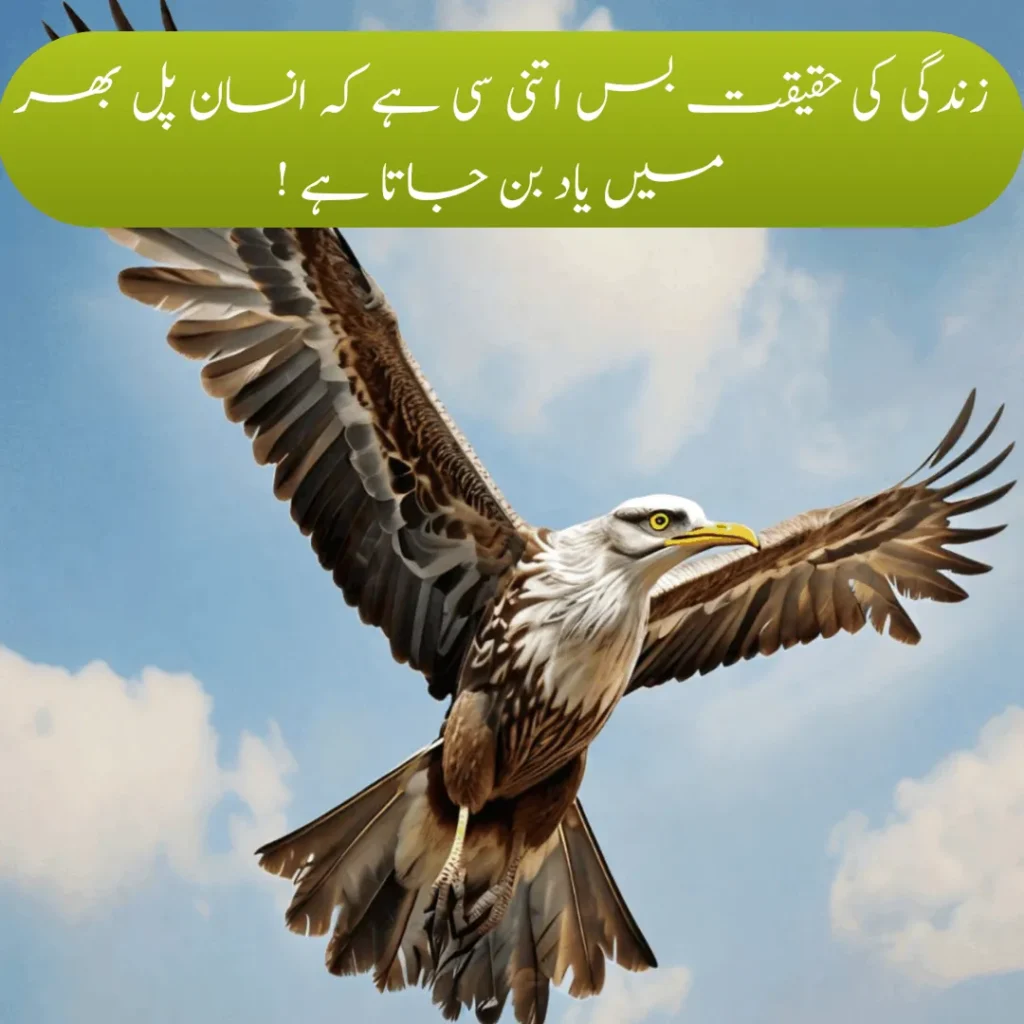 Urdu Quotes