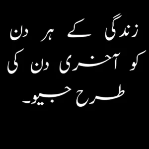 urdu quotations about life