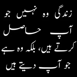 life quotes urdu