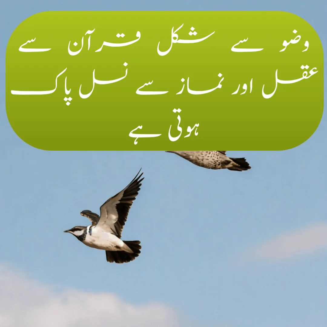 Deep Quotes in Urdu