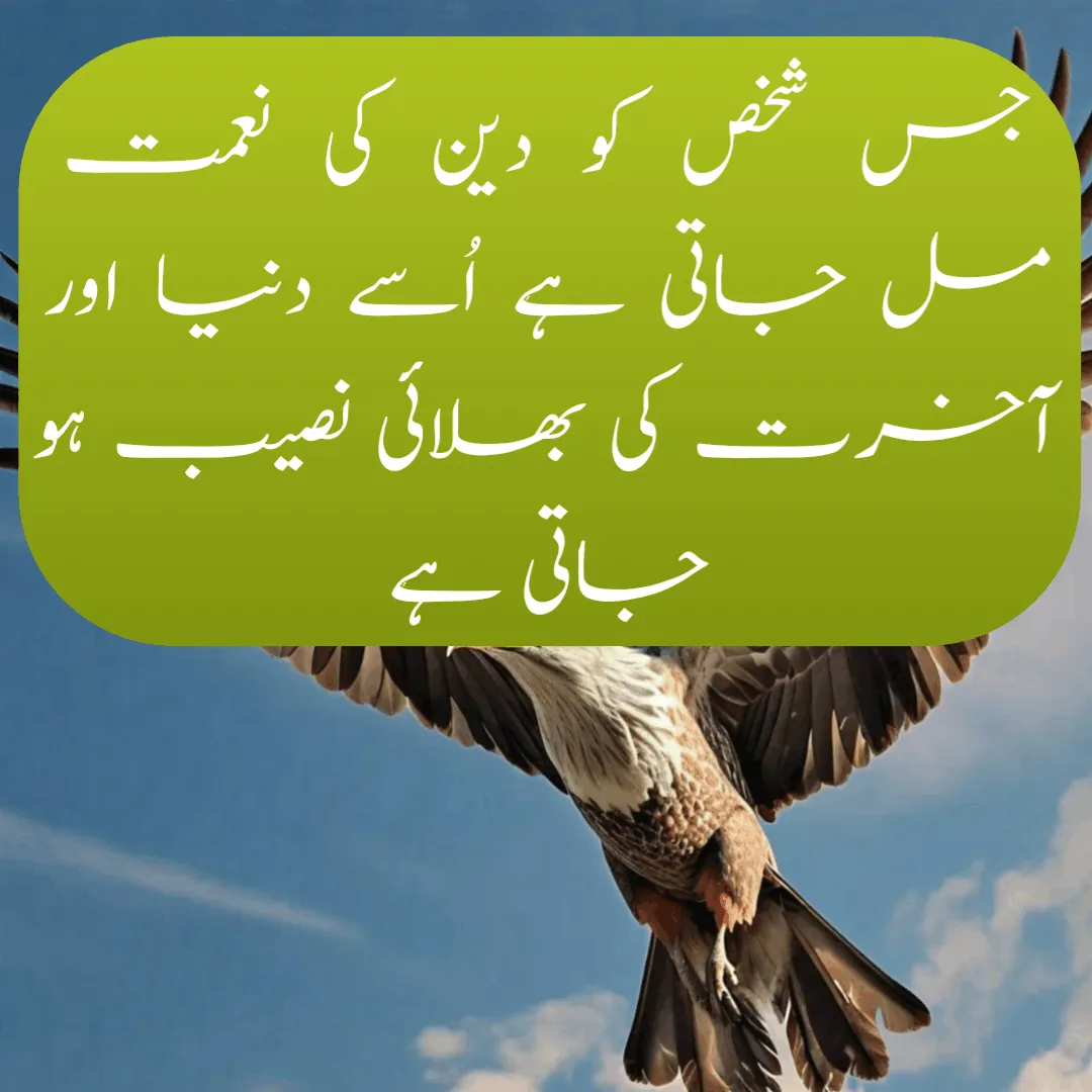 Best Motivational Urdu Quotes