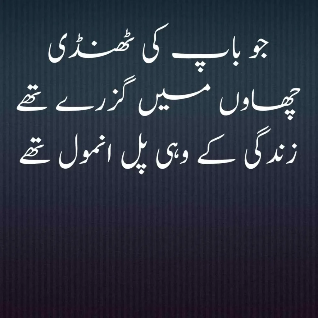 happy father's day quotes in urdu