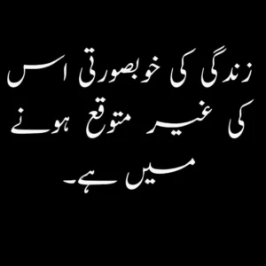 Curated collection of meaningful 2-line Urdu quotes on life