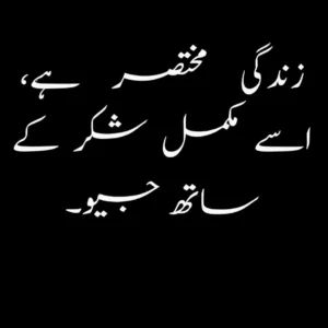 Expressive 2-line Urdu quotes that explore different facets of life