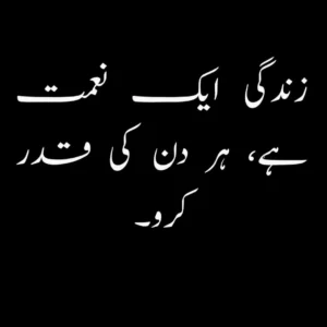 Famous 2-line quotes in Urdu capturing key life lessons