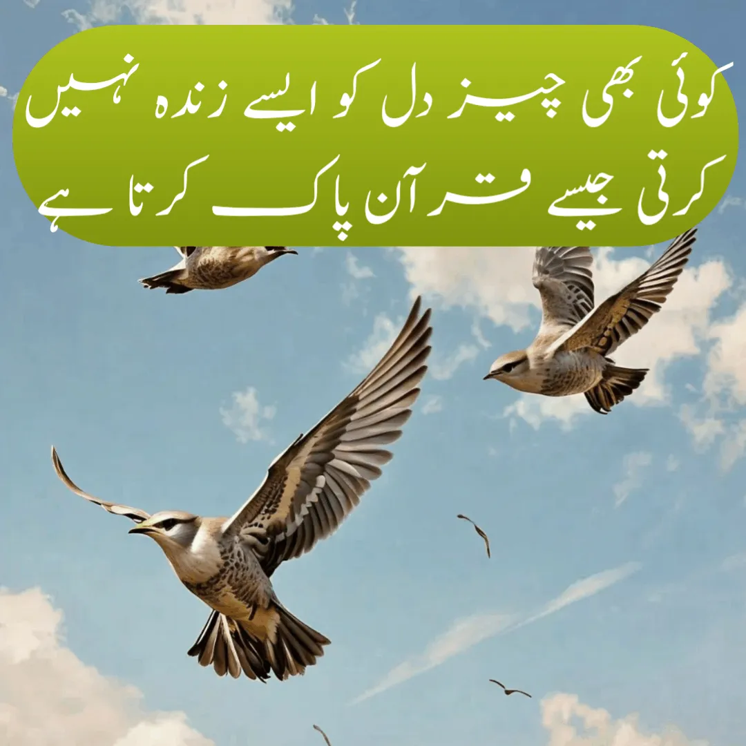 deep islamic quotes in urdu