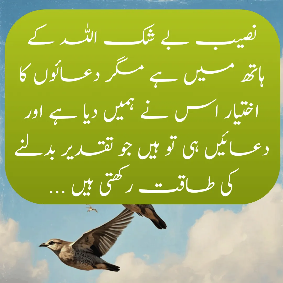 allah quotes in urdu