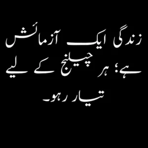 Significant 2-line Urdu quotes providing valuable insights into life