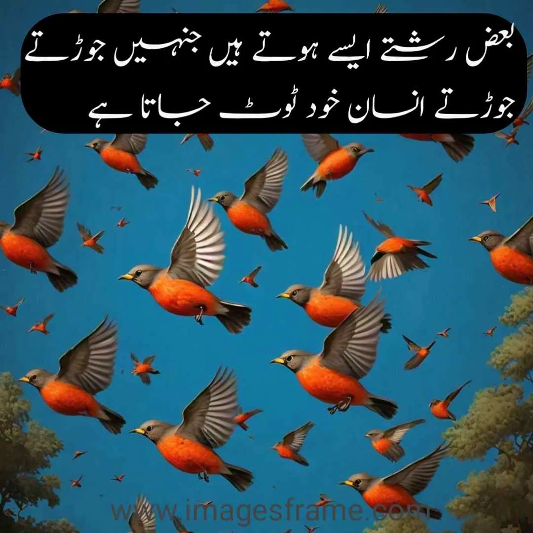 urdu quotes about life