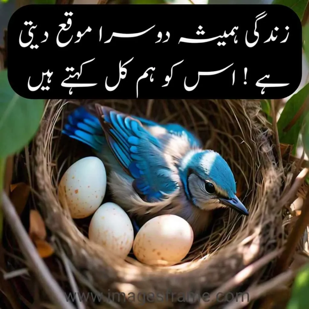 Urdu Quotes Images 121 Urdu Quotes