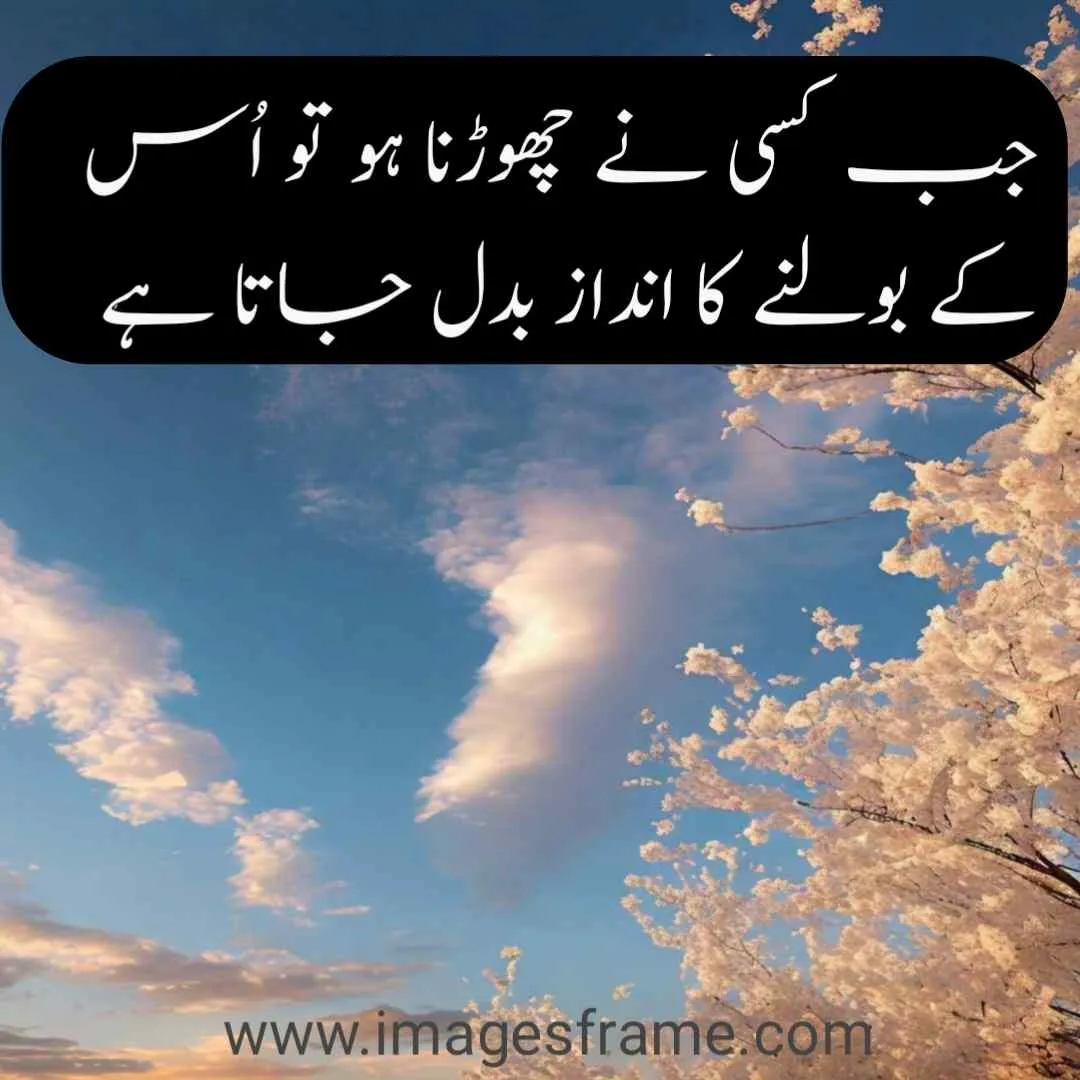 Motivational Urdu Quotes