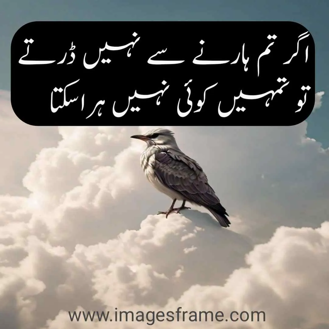 Urdu Quotes about Life