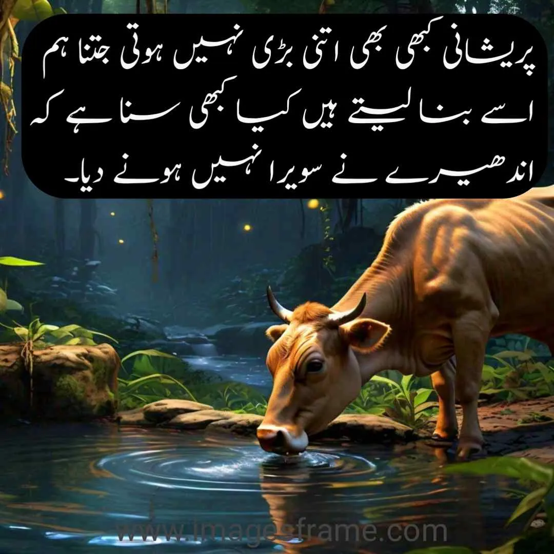 Urdu Quotes about Success