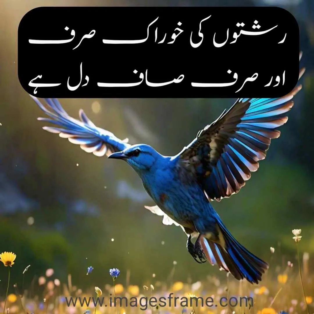 Urdu Quotes