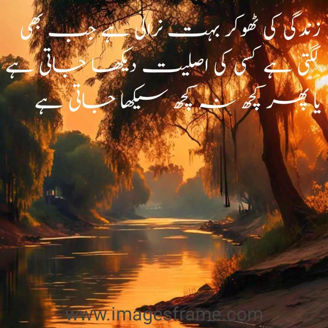 Urdu Quotes