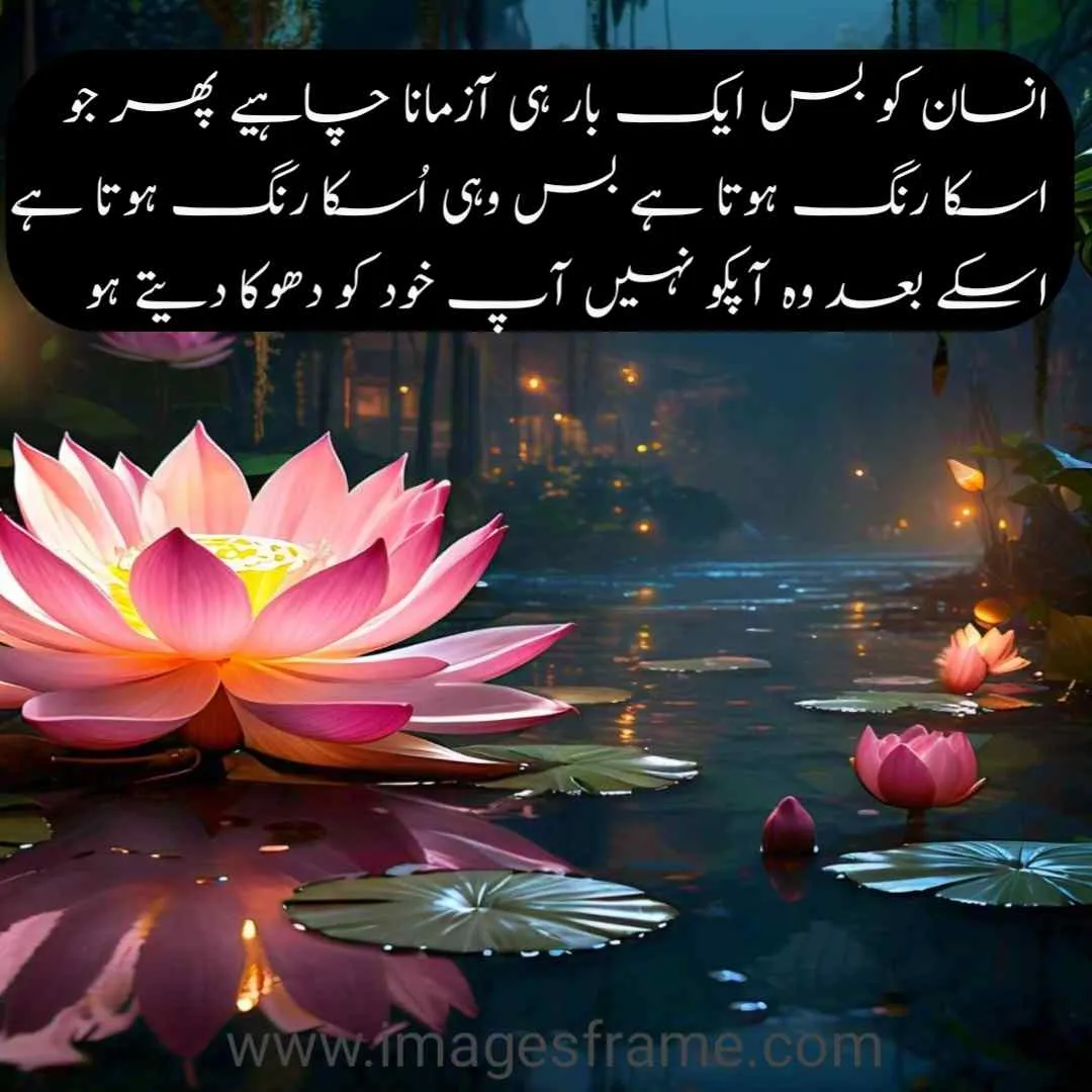 urdu quotes in english