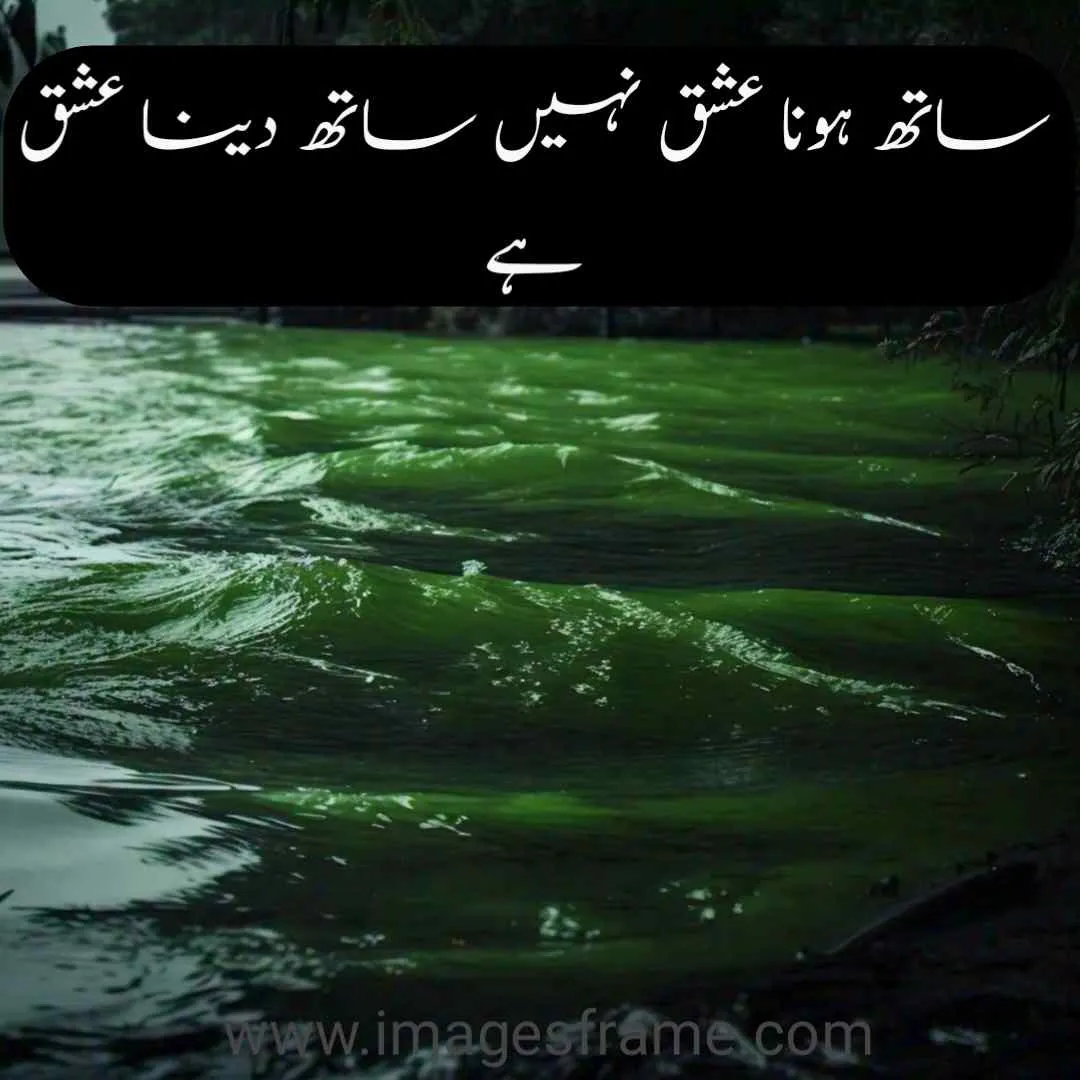 best quotes in urdu