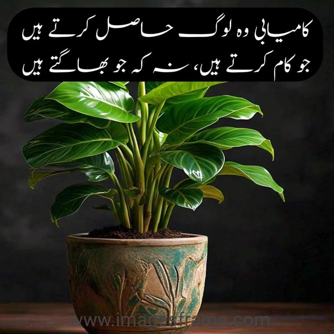 good urdu quotes