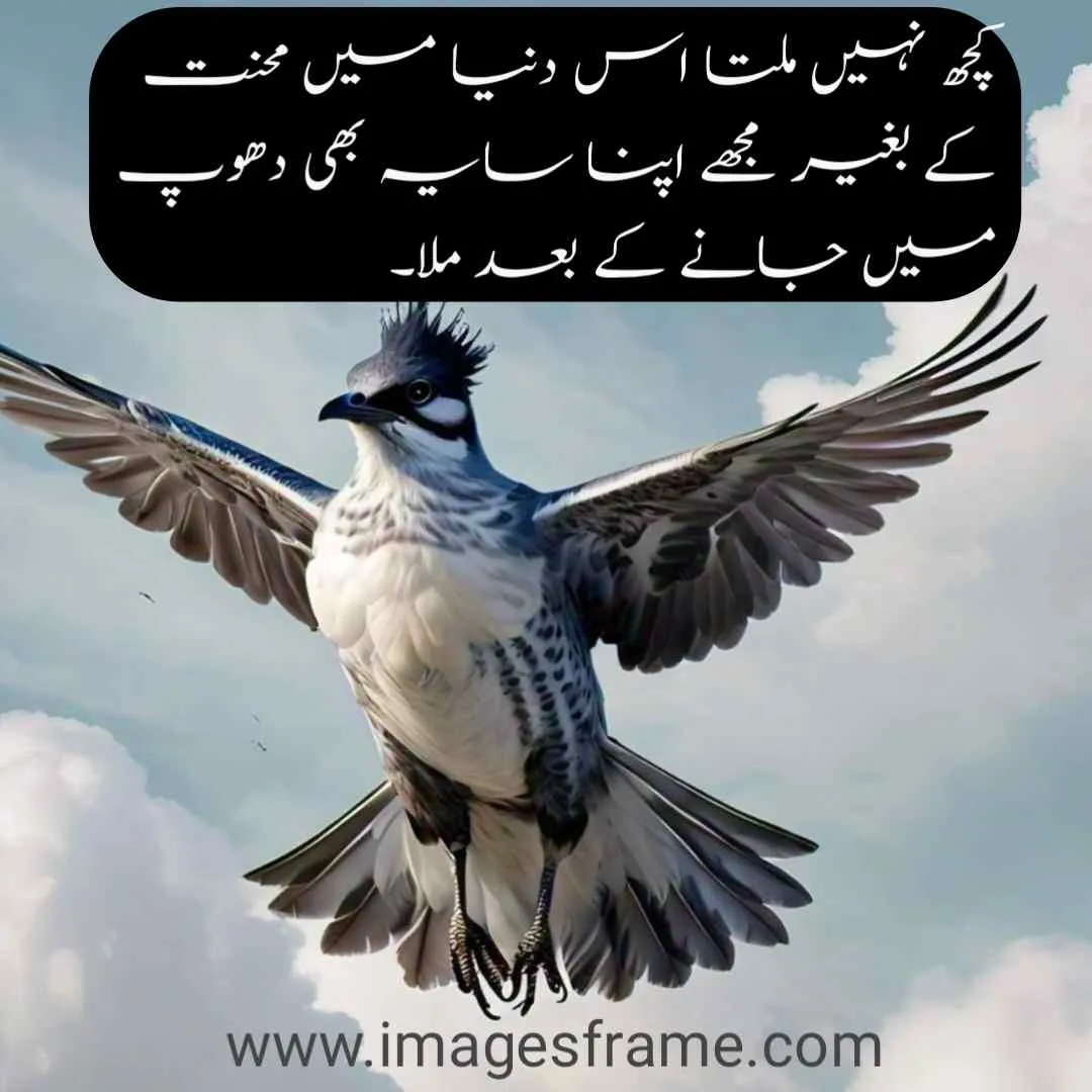 urdu quotes in english about love