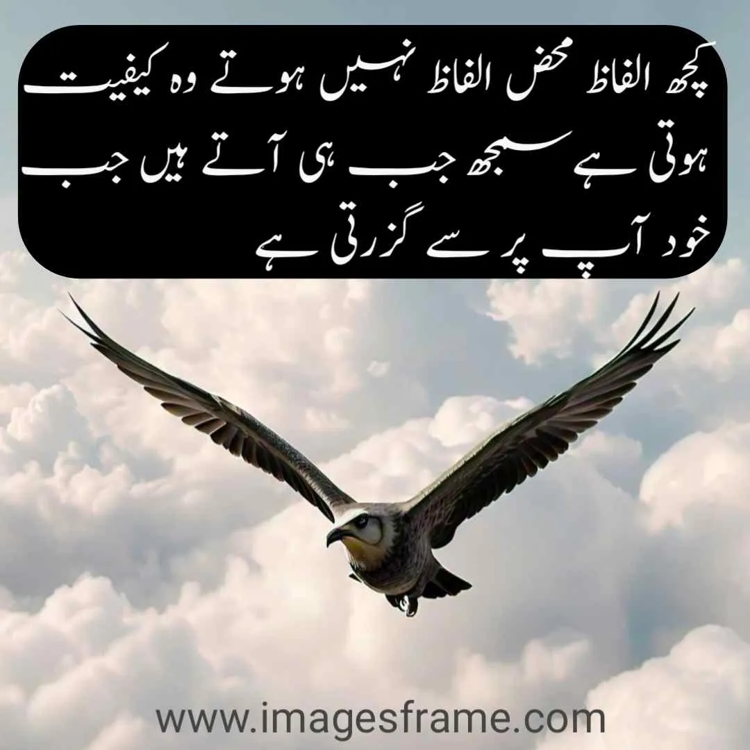 Urdu Heartbroken Quotes