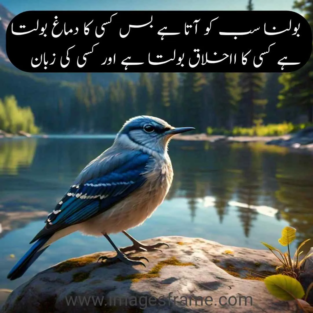 best islamic quotes in urdu