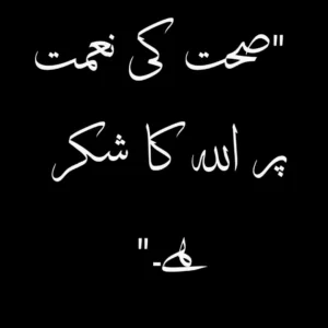 allah ka shukar quotes in urdu