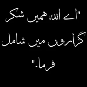 allah ka shukar quotes in urdu text