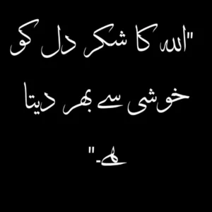 Alhamdulillah Allah ka shukar hai in Urdu