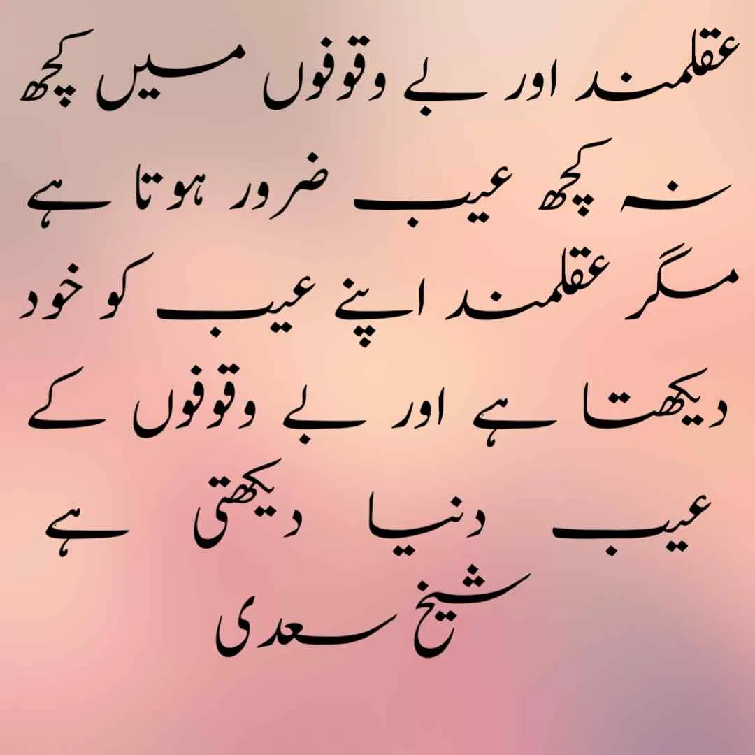 best quotes in urdu text