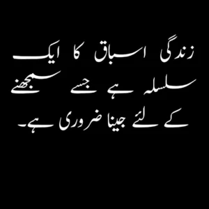 deep one line quotes on life in urdu