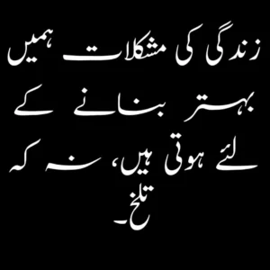 one line quotes in urdu