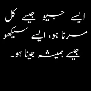 quotes in urdu