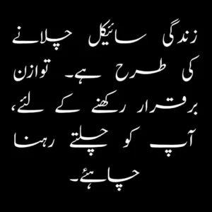 One Line Poetry In Urdu 2024.